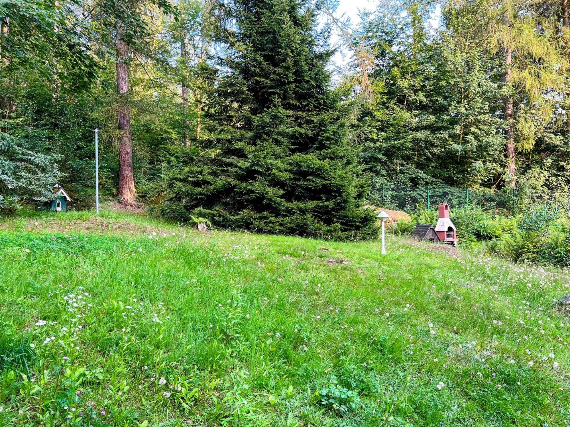 Ferienapartment "An Der Forellenschaenke" Sebnitz Exterior foto